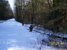 Near Rausch Gap Shelter by c.coyle in Trail & Blazes in Maryland & Pennsylvania