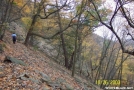 Climbing Cove Mtn., South of Duncannon