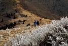 Roan Highlands by tarheel in Views in North Carolina & Tennessee