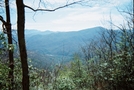 View From White Rocks Mountain by Tennessee Viking in Views in North Carolina & Tennessee