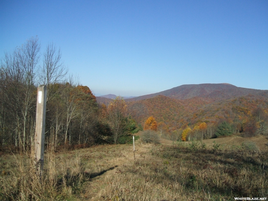 View of Street Gap up to Big Bald