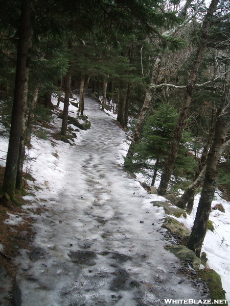 Ice Trail In The Woods On Round Bald