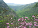 Laurel Fork Gorge From Potato Top by Tennessee Viking in Views in North Carolina & Tennessee