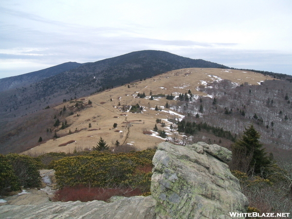 View Of The Roan Highlands From Jane Bald