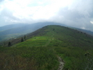 Roan Highlands In The Mist