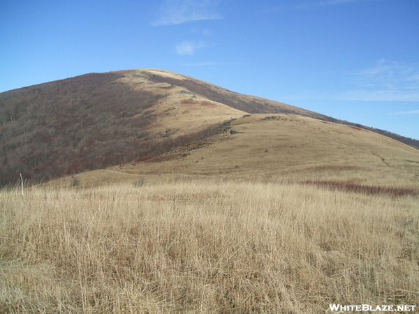 Hump Mountain From Bradley Gap