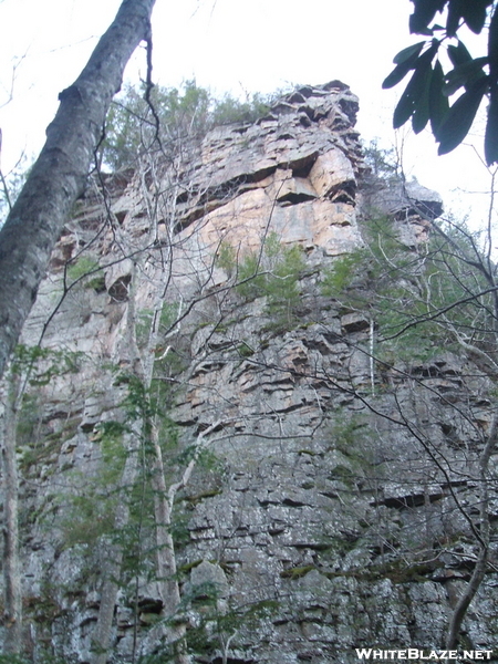 Margarette Falls Trail