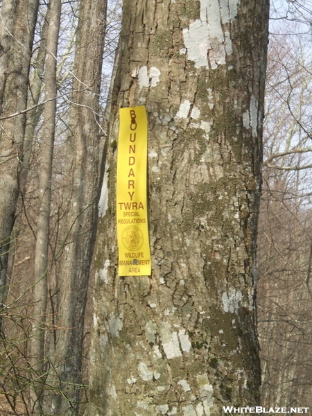 Rocky Fork Boundary On Green Ridge Climb On Cold Spring Mtn