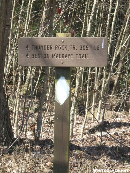 Trail Signage At The Thunder Rock Campground Trailhead