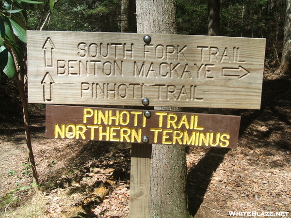 Pinhotti Terminus Junction At The Benton Mackaye Trail Along The S. Fork Jack River