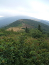 Jane Bald From The Grassy Ridge Split