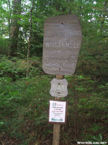 Blood Mountain Wilderness Boundary On The Reece Memorial Trail