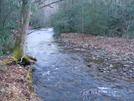 Views Along The Laurel Fork Trail