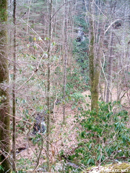 Rocky Fork Tract - Flint Creek Route