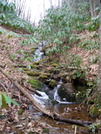 Rocky Fork Tract - Flint Creek Route