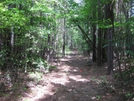 Mountains To Sea Trail - Falls Lake