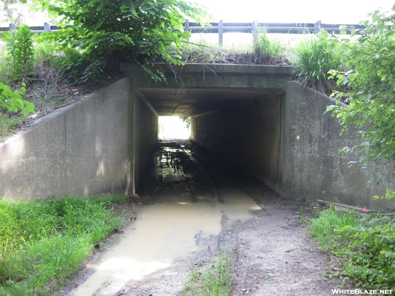 I-85 Culvert On The Mountains To Sea Trail - Falls Lake