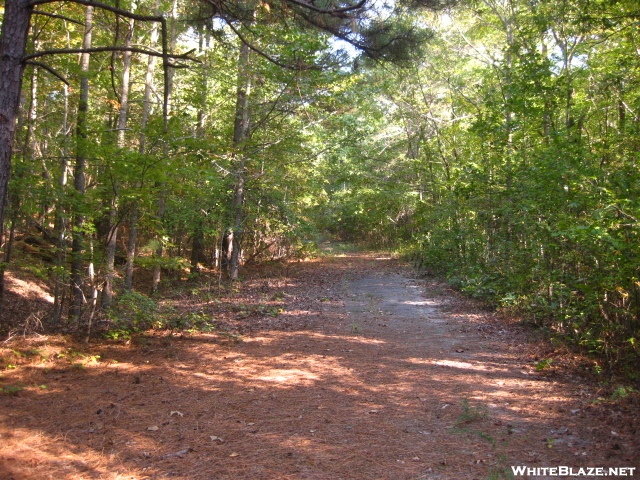 Old NC 98 - Mountains-to-Sea Trail