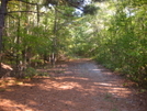 Old NC 98 - Mountains-to-Sea Trail