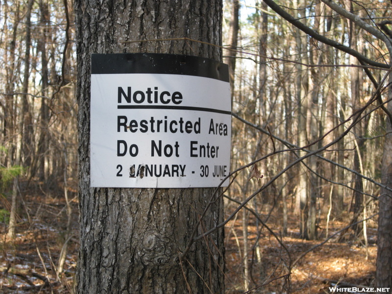 Mountains-to-sea Trail (falls Lake-section 21 & 22)