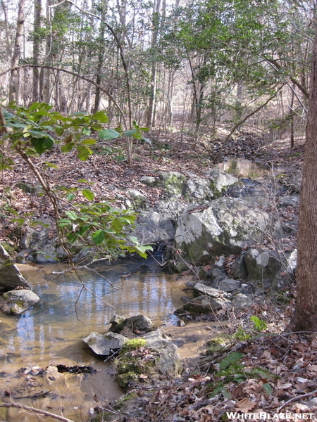 Mountains-to-sea Trail