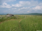 Near Shady Valley by ollieboy in Trail & Blazes in North Carolina & Tennessee