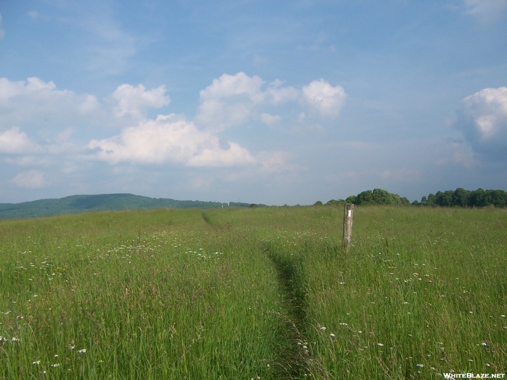 Near Shady Valley