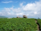 Atop Grassy Ridge