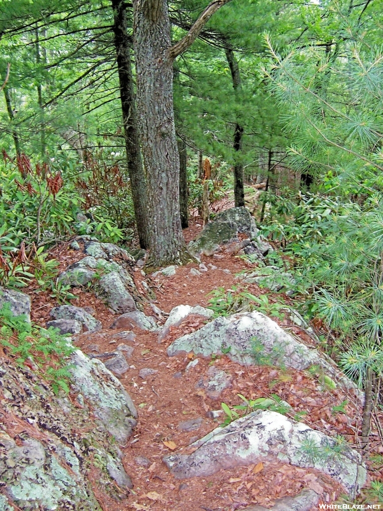 Rocky Trail