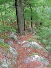 Rocky Trail by ollieboy in Trail & Blazes in North Carolina & Tennessee