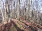 Near Shady Valley by ollieboy in Trail & Blazes in North Carolina & Tennessee