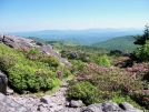 Grayson Highlands by ollieboy in Views in Virginia & West Virginia