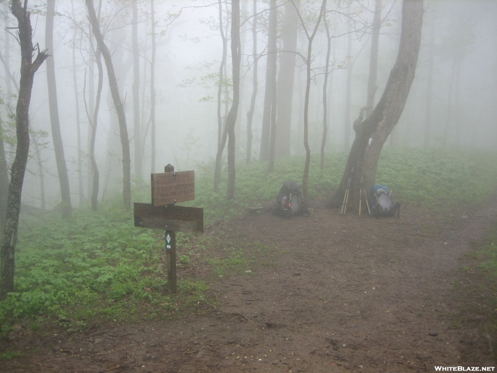 A.T/ B.M.T intersection near Shuckstack in the Smokies