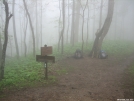 A.T/ B.M.T intersection near Shuckstack in the Smokies by Matt and Tiff in Trail & Blazes in North Carolina & Tennessee