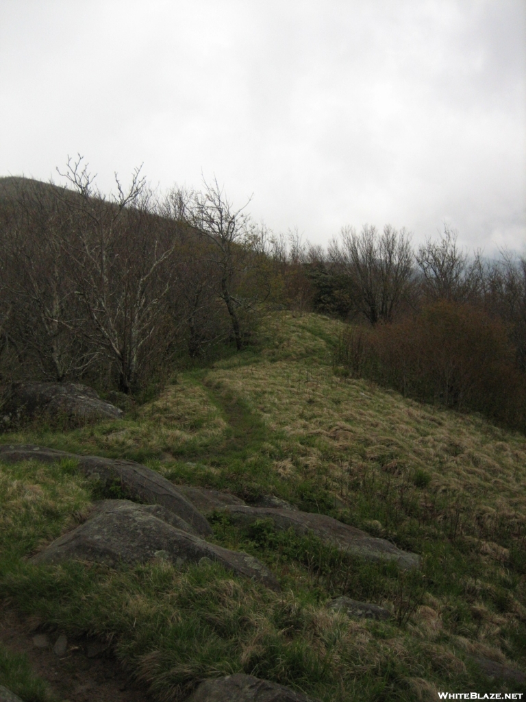 Trail up Thunderhead Mtn