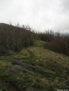 Trail up Thunderhead Mtn