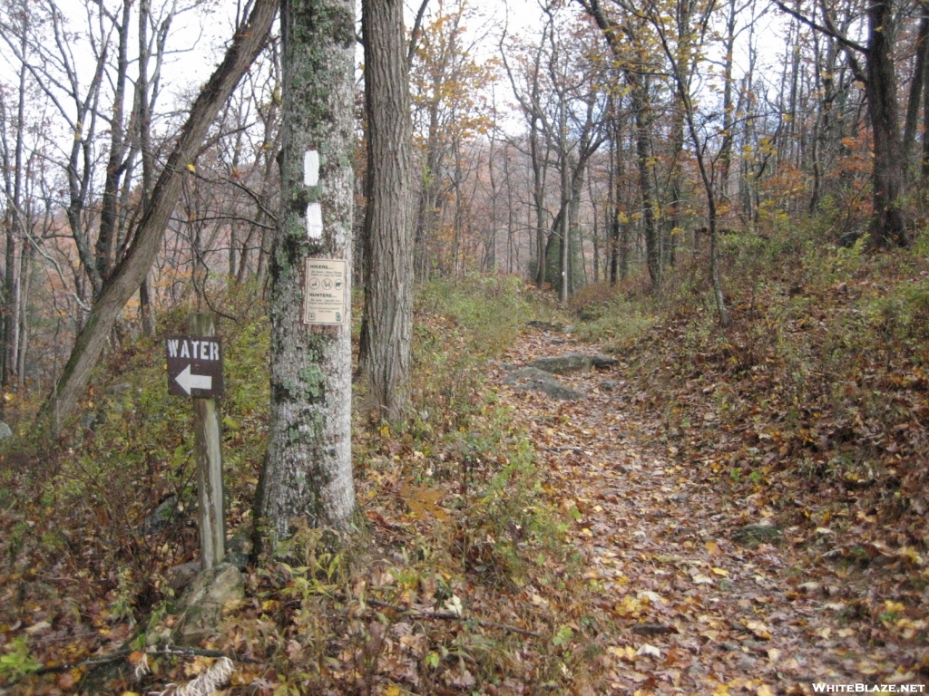 Water source at Woody Gap