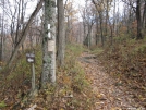 Water source at Woody Gap