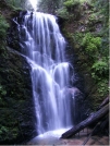 Berry Creek Falls by Rift Zone in Other Trails