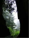 View from a redwood. by Rift Zone in Other Trails