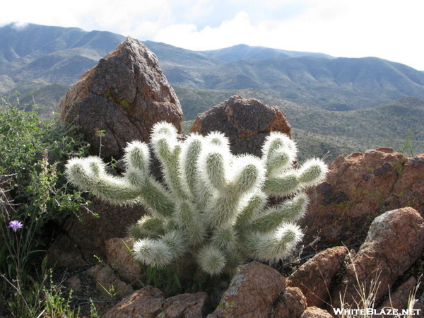 Arizona 4 Peaks And Arizona Trail