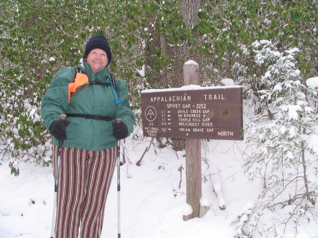 Stitch at Spivey Gap, NC