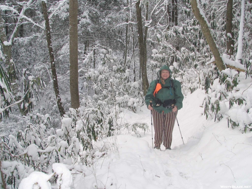 Stitch near Spivey Gap, NC