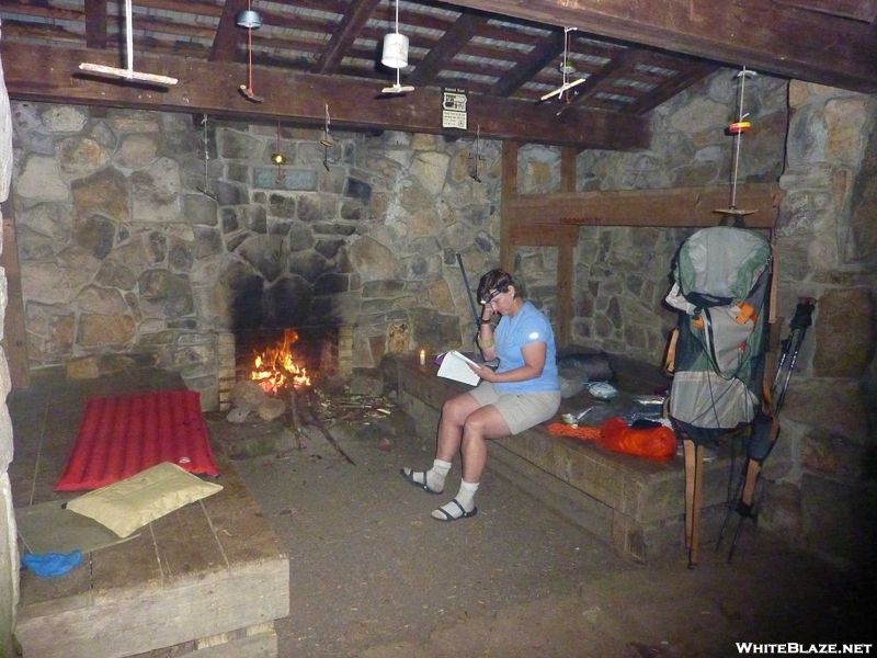 Mama Bear At Trimpi Shelter, Va