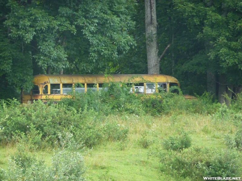 School bus in SW VA