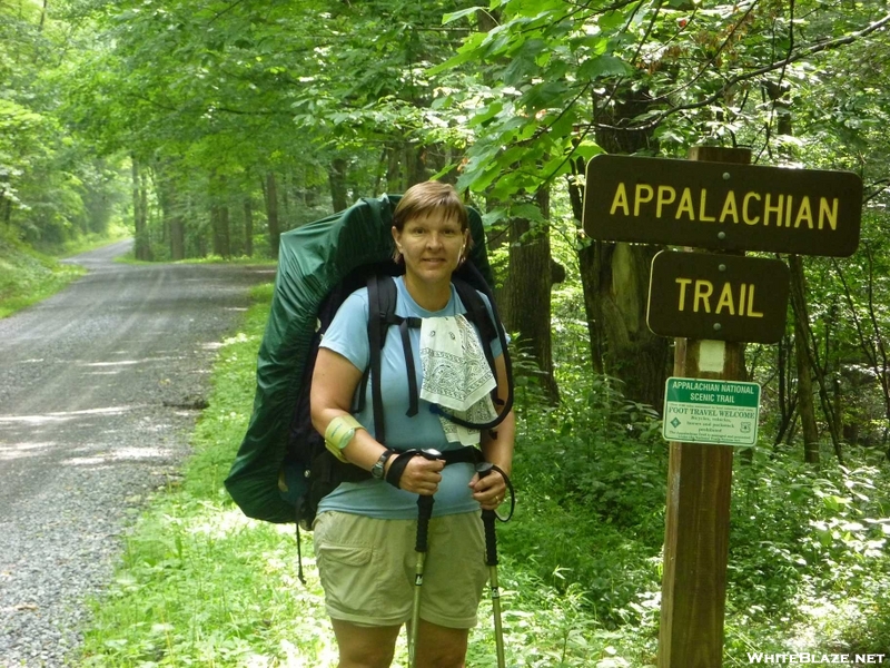 Mama Bear At Slabtown Road Va