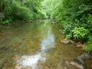 South Fork Holston River Va