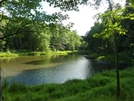 Pond At Partnership Shelter Va by Rain Man in Trail & Blazes in Virginia & West Virginia
