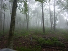 Tilson Gap On Walker Mountain VA by Rain Man in Views in Virginia & West Virginia