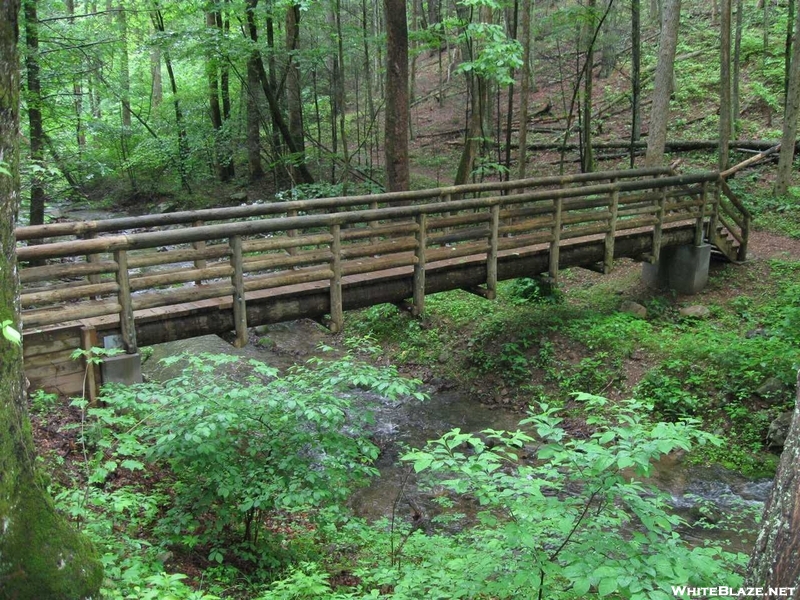 Brown Mtn Creek Bridge